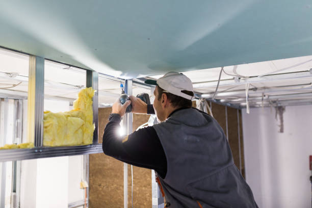 Best Cellulose Insulation in Bradford Woods, PA
