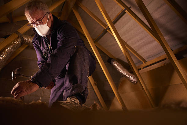 Types of Insulation We Offer in Bradford Woods, PA
